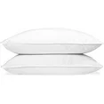 Photo 1 of Down Dreams Manchester Mills Classic Pillows - Jumbo/Medium Support 2-Pack