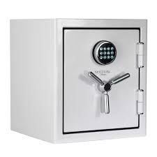 Photo 1 of Sanctuary Reserve 1.69 cu. ft. Home & Office Safe with Electronic Lock