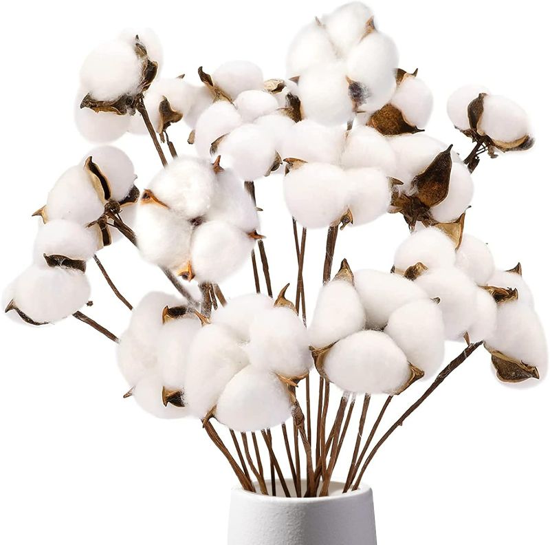 Photo 1 of DomeStar Cotton Stems, Natural Dried Flowers 8 Packs Total 15 Bolls Cotton Sprigs Blooms Floral Stems for Vase Fillers