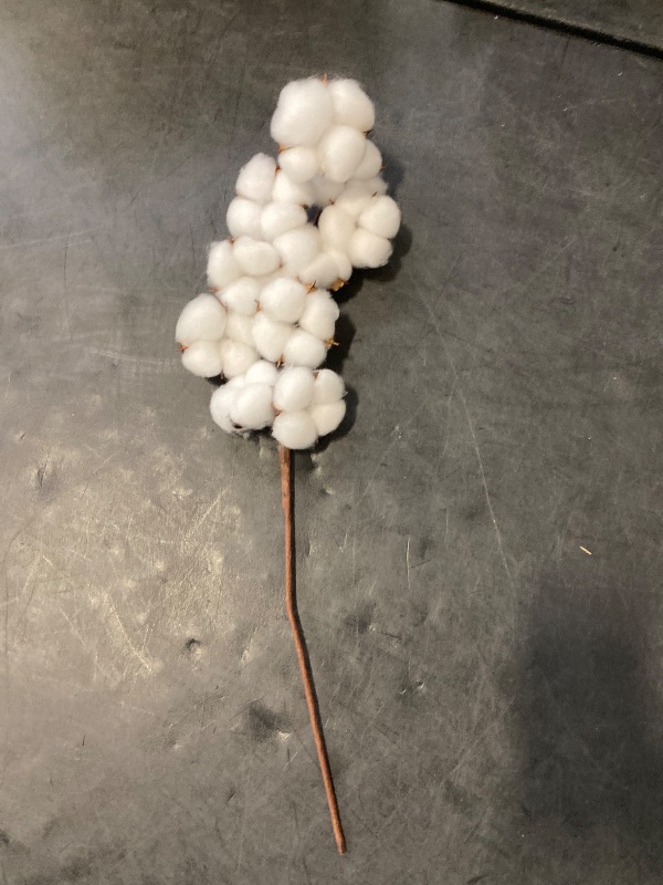 Photo 1 of DomeStar Cotton Stems, Natural Dried Flowers 8 Packs Total 15 Bolls Cotton Sprigs Blooms Floral Stems for Vase Fillers