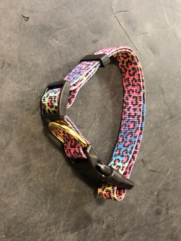 Photo 1 of TMOODEL Reflective Dog Collar for Small Dogs Cats, Cute Leopard Style Adjustable Heavy-Duty Nylon Puppy Collar for Boy and Girl Female, Soft Pet Accessories with Quick Release Buckle, Neon