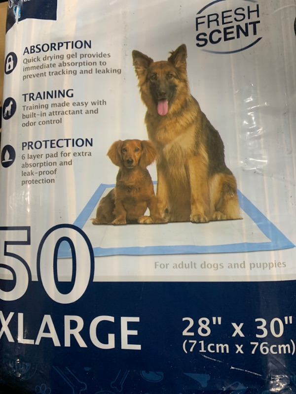 Photo 1 of American Kennel Club Scented Puppy Training Pads with Ultra Absorbent Quick Dry Gel – 28 x 30 Pee Pads for Dogs - Fresh Scented - 50 Count, XL