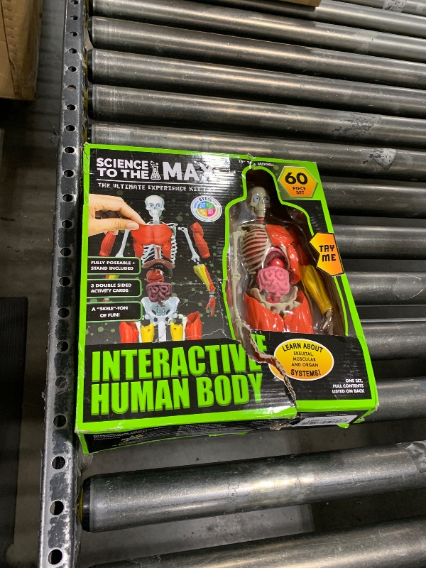 Photo 1 of Be Amazing! Toys Interactive Human Body - 60 Piece Fully Poseable Anatomy Figure 
