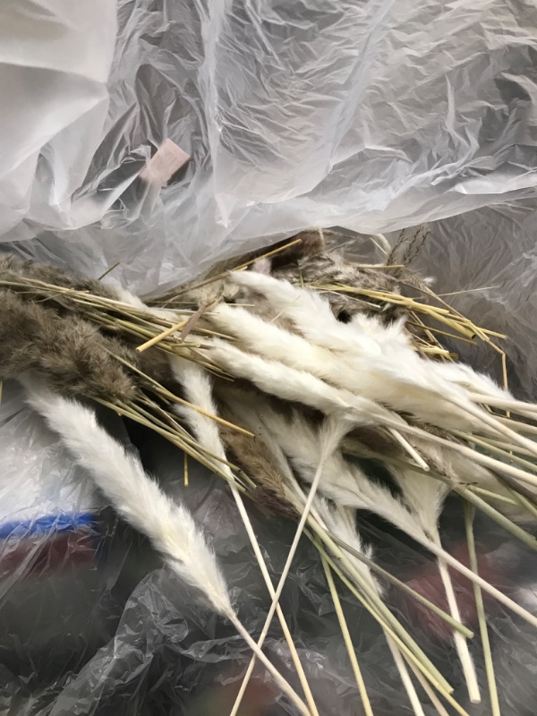 Photo 1 of 130PCS Natural Dried Pampas Grass Boho Home Decor Bouquet Phragmites Dried Flowers Bouquet for Wedding Floral Arrangements Home Decorations (130PCS)