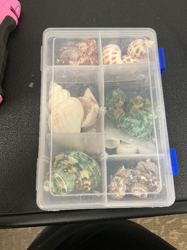 Photo 1 of Hermit Crab Shells 17PCS (9 Types) Medium Small Growth Turbo Seashells 0.6-1.6 Inch Various Openning Size Natural