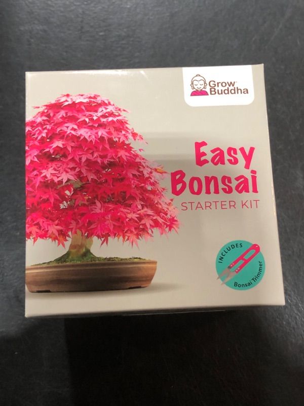 Photo 1 of Grow Your Own Bonsai Tree kit | Easily Grow 4 Types of Bonsai Tree with Our Complete Beginner Friendly Bonsai Starter kit | Bonzai Tree | Christmas Gift Set for Plant Lovers (Bonsai Kit)