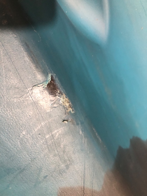 Photo 1 of ***DAMAGED - INCOMPLETE - NO PACKAGING - SEE COMMENTS***
Lifetime Tamarack Pro 103 Sit-On-Top Kayak, Lightning Fusion, 10 ft. 3 in.