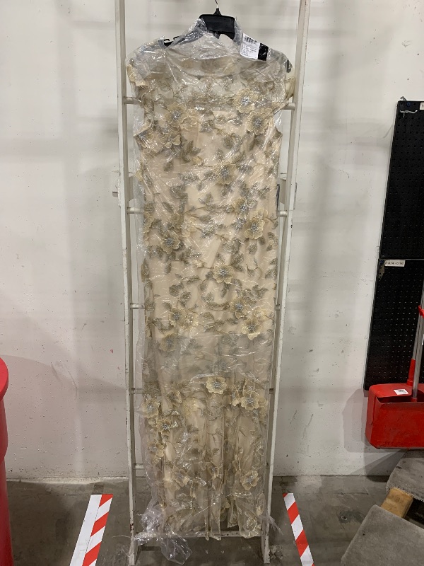 Photo 1 of Adrianna Papell Women's Floral Embroidered Godet Gown, Champagne SIZE 12