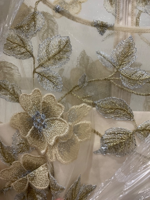 Photo 1 of Adrianna Papell Women's Floral Embroidered Godet Gown, Champagne SIZE 12