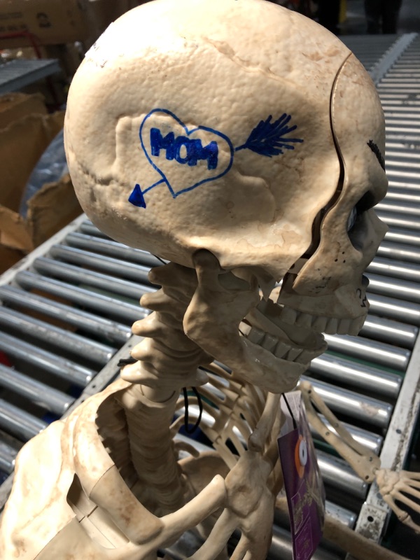 Photo 1 of ***DRAWING ON SKULL | MISSING RIGHT PINKY FINGER***5FT HALLOWEEN SKELETON