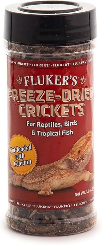 Photo 1 of FREEZE DRIED CRICKETS
