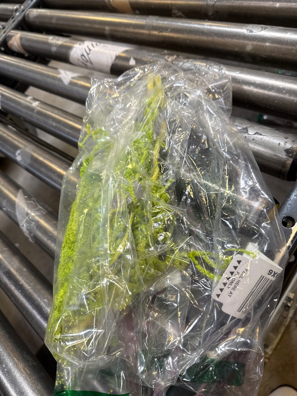 Photo 1 of 10Pcs Green Dried Amaranthus Hanging Wedding Flowers - 23" Dye Natural Preserved Flowers for Wedding Arch, Garlands, Floral Arrangement, Rustic Vase Decor, Wall Decor