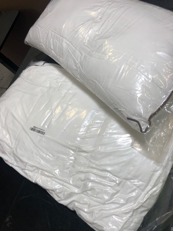 Photo 1 of 2 Pack White Pillows Exact Size Unknown Small/Medium 
