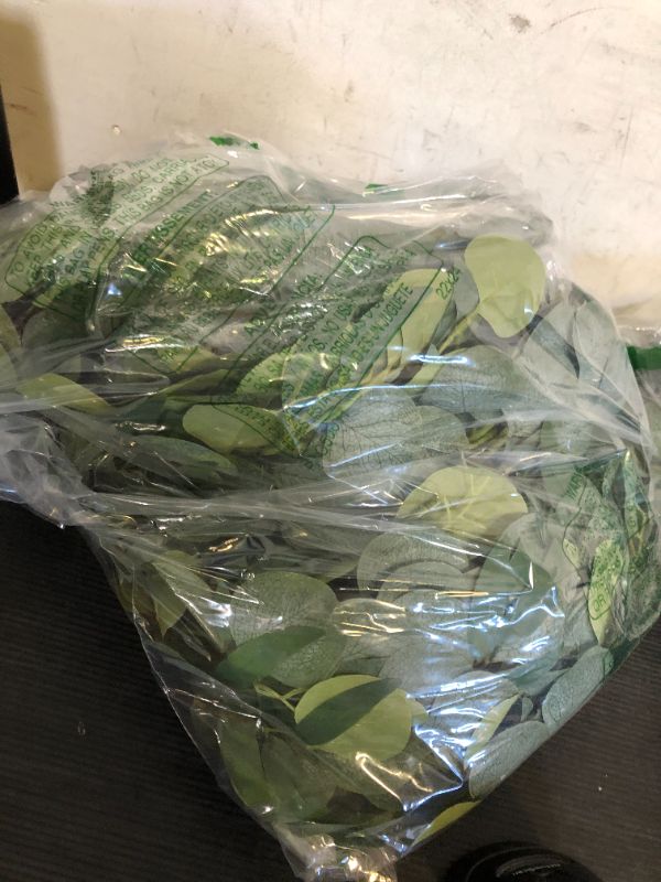 Photo 1 of 10 Pack Artificial Eucalyptus Garland with Willow Leaves 6.4 ft Artificial Greenery Vine Swag Faux Silver Dollar and Willow Leaves Garland for Wedding Table Runner Doorway Decoration Indoor Outdoor