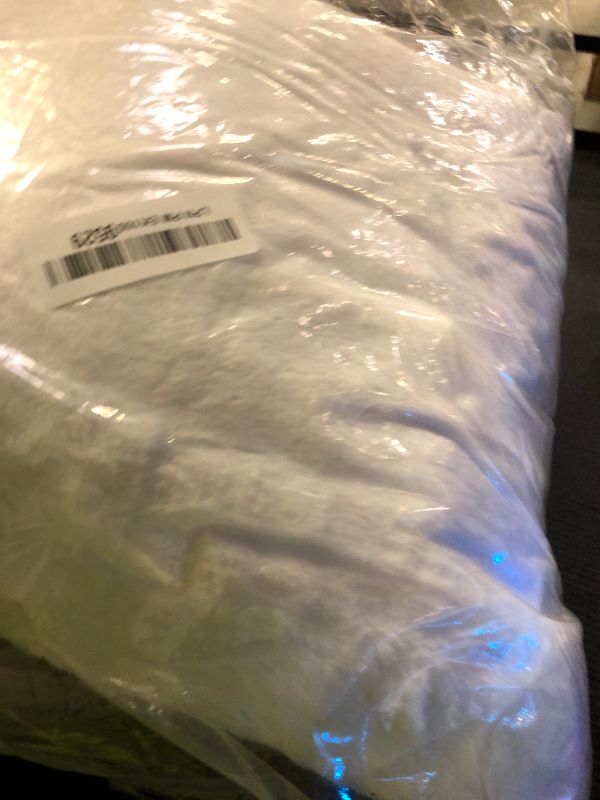 Photo 1 of couch pillow