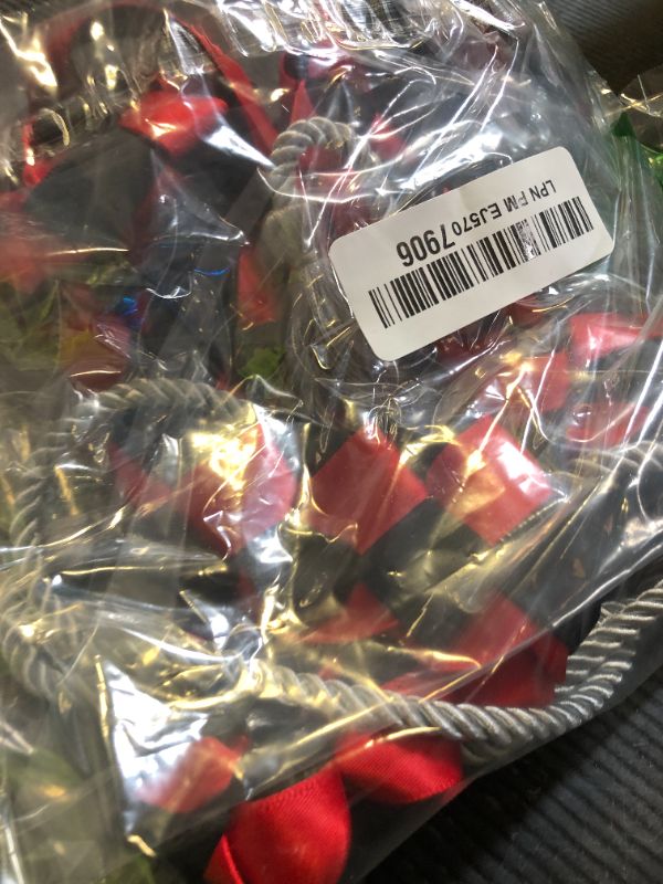 Photo 1 of 10 Pieces Graduation Ribbon Lei 2025, Handmade Braided Necklace Honor Cord, [2025 Grad] Embroidery Patches for College Graduation Party Decorations (Black and Red, Silver Cord)