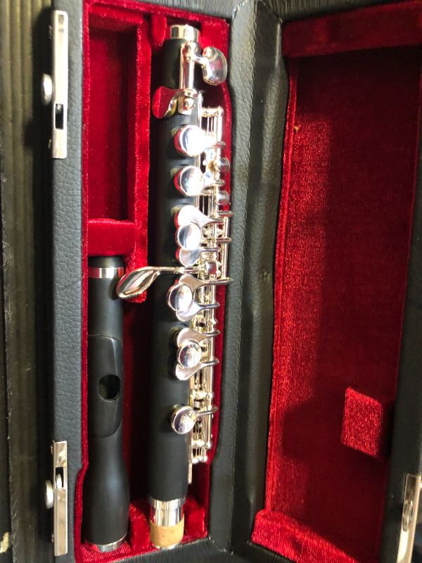 Photo 1 of small clarinette 