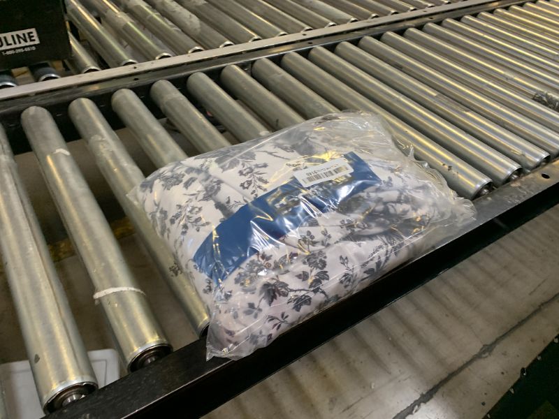 Photo 1 of Betsey Johnson - King Bed Sheets, Soft & Lightweight Bedding, Fade & Wrinkle Resistant (Betseys Toile Black, King)