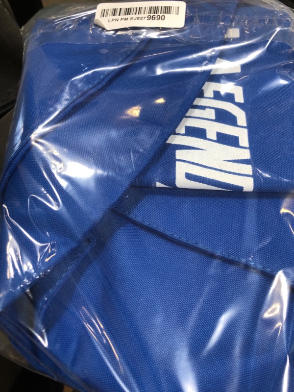Photo 1 of LAEGENDARY Replacement Mesh for Blue Oval Swings