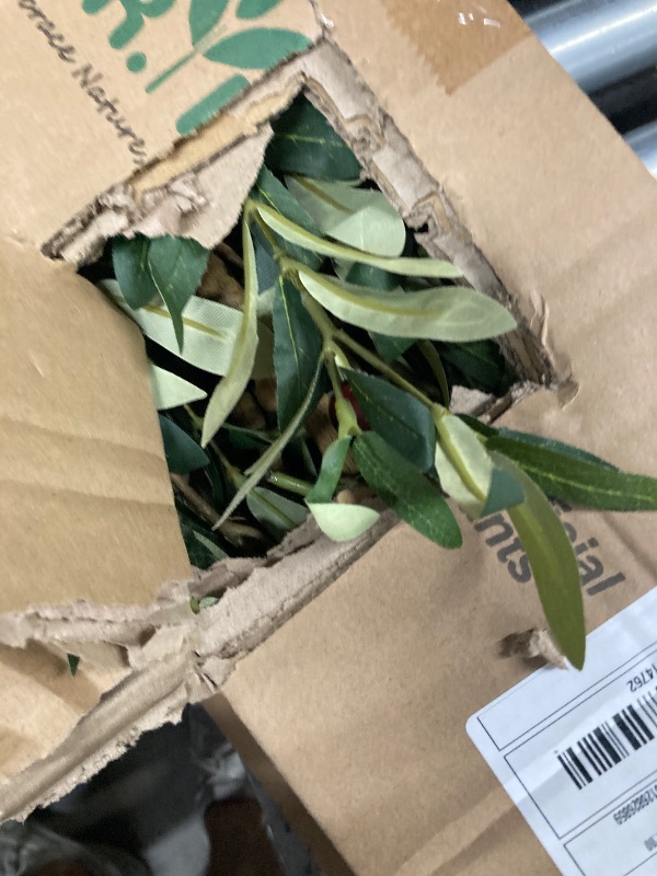 Photo 1 of ***(MISSING POT, NO POT SELLING AS IS )***
DR.Planzen 6ft Artificial Olive Tree Indoor, Tall Faux Olive Tree, Artificial Plants with Natural Wood Trunk and Lifelike Fruits for Home Office Decor
