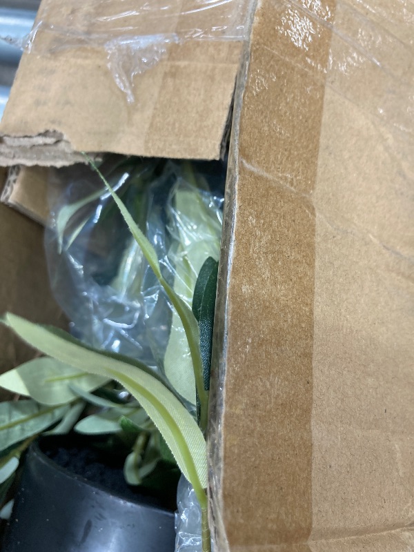 Photo 1 of  Artificial Olive Plants with Realistic Leaves and Natural Trunk, Silk Fake Olive Tree in Black Plastic Pot, Faux Olive Tree for Office Home
