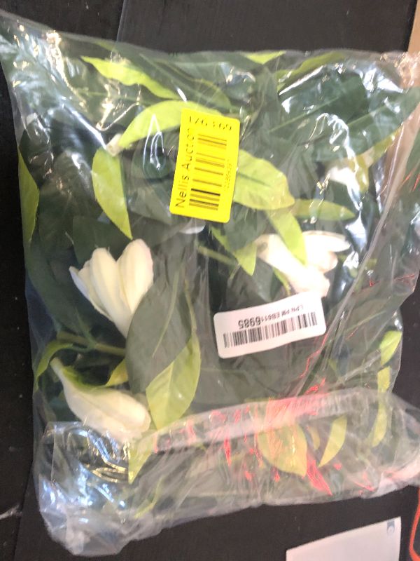 Photo 1 of Riceshoot 2 Pcs Hawaiian Graduation Lei 6.56 ft Maile Lei Green Garland White Tuberose 2025 Graduation Gift Leaf Flower Necklace for Wedding Hawaiian School Ceremony Luau Aloha Summer Party Supplies