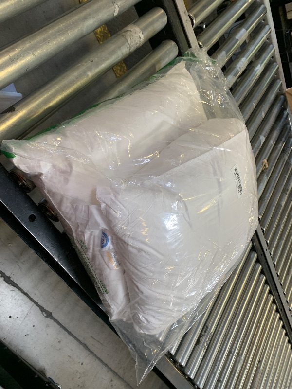 Photo 1 of Luxury Canada Goose Down Pillow 1050 Fill Power with 100% Cotton Pillowcase 20"X36" Bed Pillows Keep Balance of Softness and Firmness (King Pack of 1)