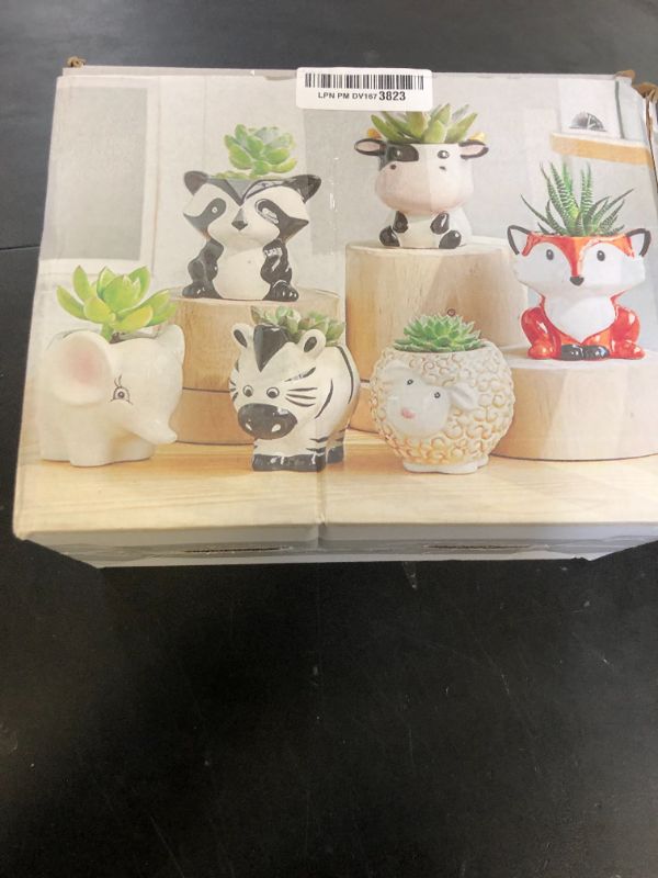 Photo 1 of 6 Pieces Cute Animal Succulent Planter Pot with Drainage Hole, Cartoon Cow Elephant Ceramic Flower Plant Pot Tiny Flower Planter Cactus Container Indoor Outdoor Office Home Decor