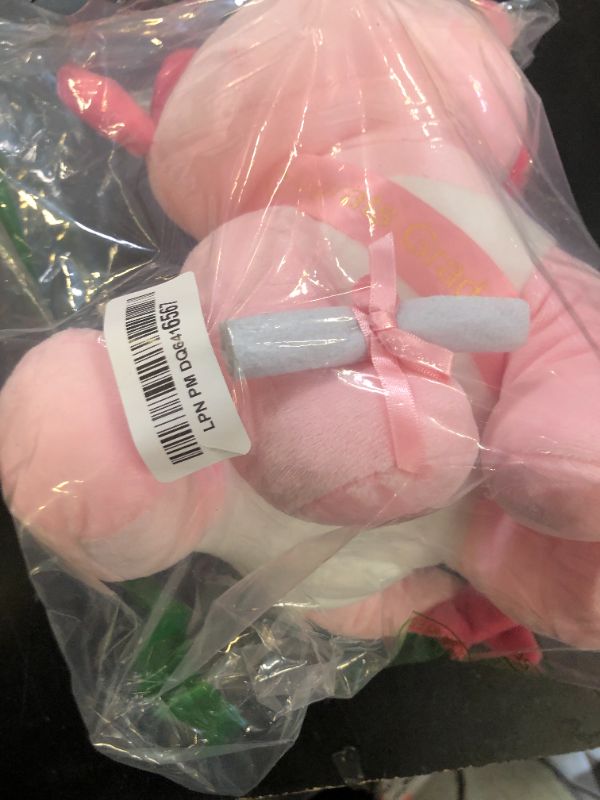 Photo 1 of HyDren 10 Inch Graduation Axolotl Plush Stuffed Animal Axolotl Stuffed Animals with Graduation Hat Diploma and Sash, Plush Gift for Preschool, Kindergarten, Friend, Relatives(New Pink)