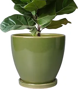 Photo 1 of Ceramic Pots for Plants - 10 Inch Planter for Indoor Ourdoor Plants Modern Large Flower Pot with Drainage Hole and Saucer Room Home Office Garden Patio Porch Decor Green