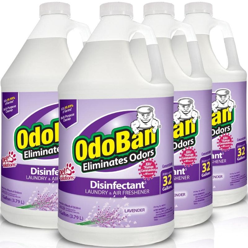Photo 1 of 1 Gal. Lavender Disinfectant and Odor Eliminator, Fabric Freshener, Multi-Purpose Cleaner Concentrate (4-Pack)

