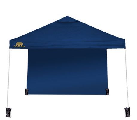 Photo 1 of  10'x10' Instant Canopy Tent with 1 Sidewall with One Push Setup Sun Shelter for Events Parties Forest Green