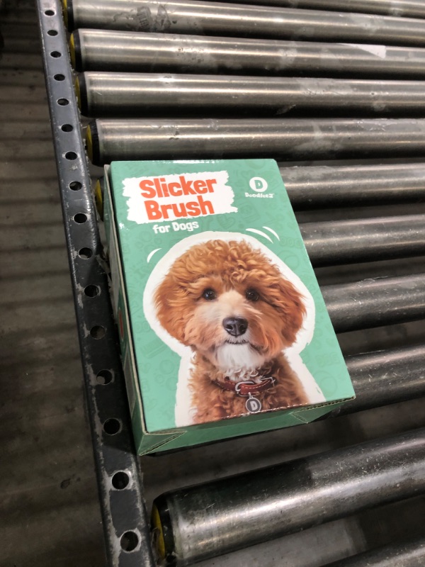 Photo 1 of Doodle Brush for Dogs - Goldendoodle Brush with Poodle Comb and Cases Included - Medium - Orange