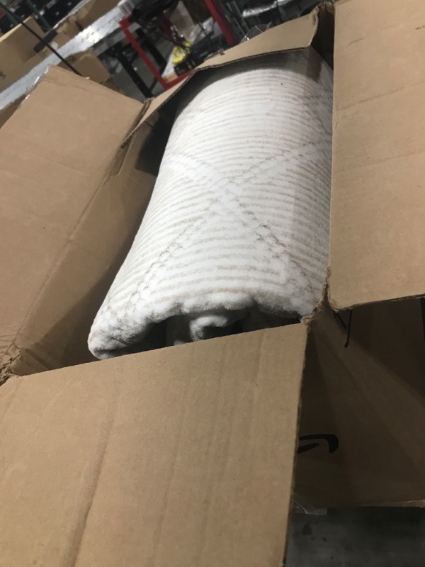 Photo 1 of White and brown large rug