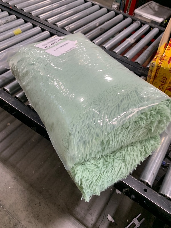 Photo 1 of area rug unknown brand/size 
