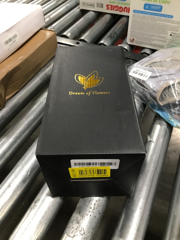 Photo 1 of Valentines Flower Gifts for Her,Beauty and The Beast Rose Kit Rose Gifts for Women Red Silk Rose Lasts Forever with Warm Lights,Romantic Gifts for Her,Anniversary Birthday Gift