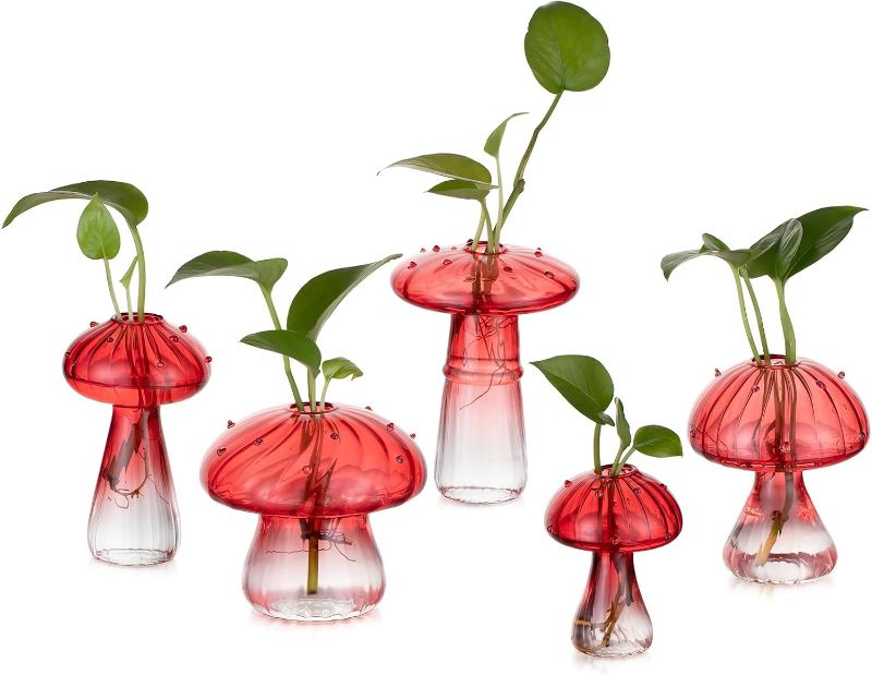 Photo 1 of Glasseam Mushroom Plant Propagation Stations: Amber Glass Terrarium Jar Set of 5 Cute Planters for Indoor Plants Mini Propagate Station Unique Christmas Birthday Gifts for Women Home Office Decor