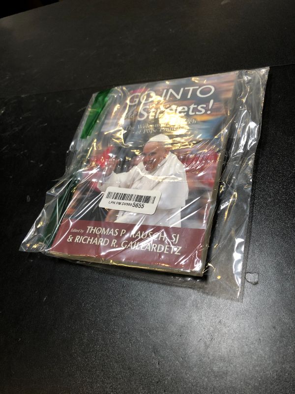 Photo 1 of Go into the Streets!: The Welcoming Church of Pope Francis
