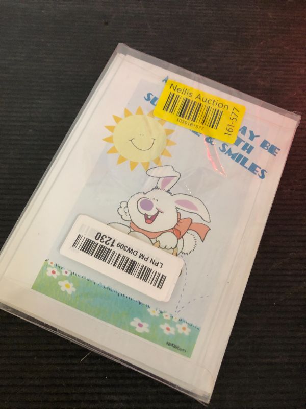 Photo 1 of Stonehouse Collection Cute Easter Bunny Greeting Card Pack - 12 Cards and Envelopes - USA Made