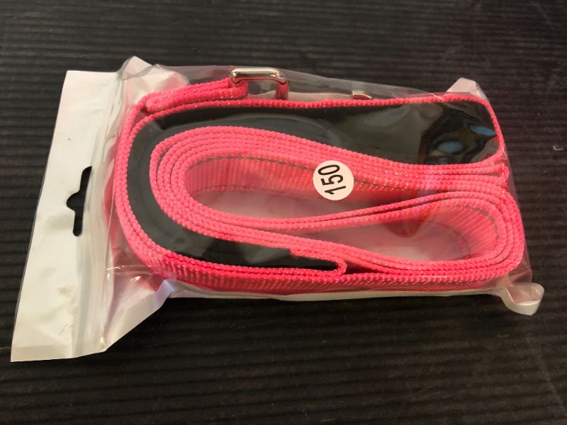 Photo 1 of Vicenpal  Double Sided Reflective Dog Leash 5ft  