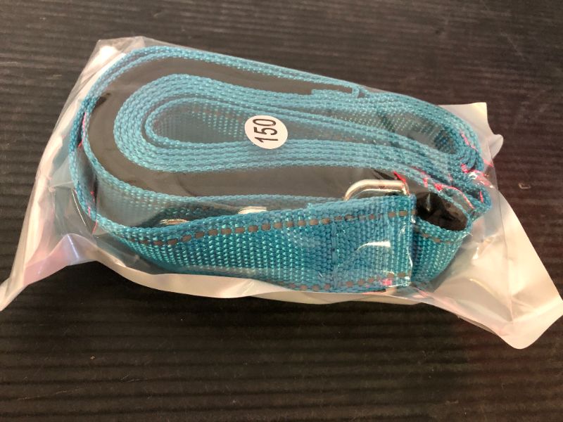 Photo 1 of Vicenpal  Double Sided Reflective Dog Leash 5ft  