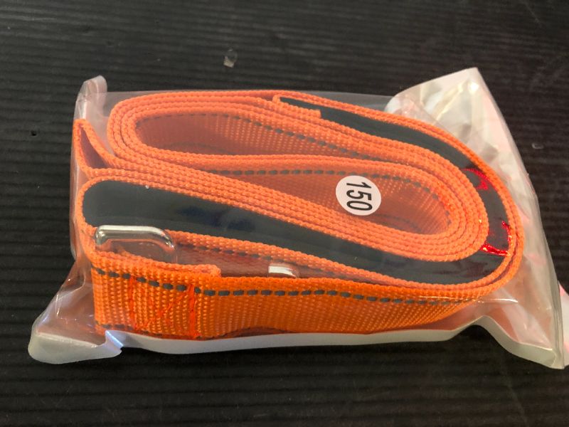 Photo 1 of Vicenpal  Double Sided Reflective Dog Leash 5ft  