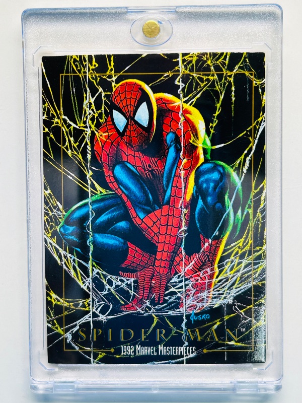 Photo 1 of 165045… Marvel Masterpieces Spider-Man card 87 in hard plastic case