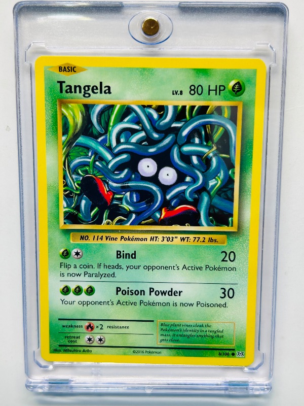 Photo 1 of 165163…Tangela  Pokémon card in hard plastic case