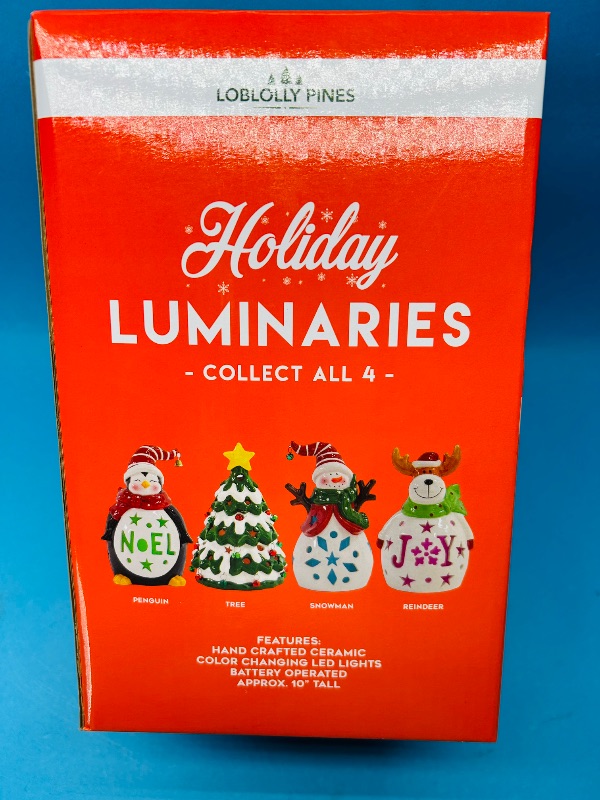 Photo 1 of 165341…Holiday Luminaries color changing LED ceramic 