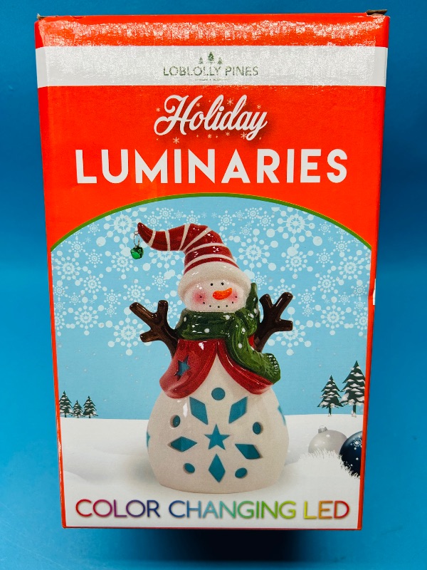 Photo 1 of 165341…Holiday Luminaries color changing LED ceramic 