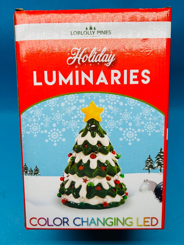 Photo 1 of 165342… Holiday Luminaries color changing LED ceramic 