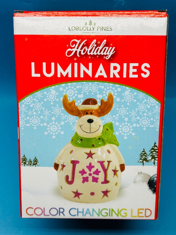 Photo 1 of 165343… Holiday Luminaries color changing LED ceramic 