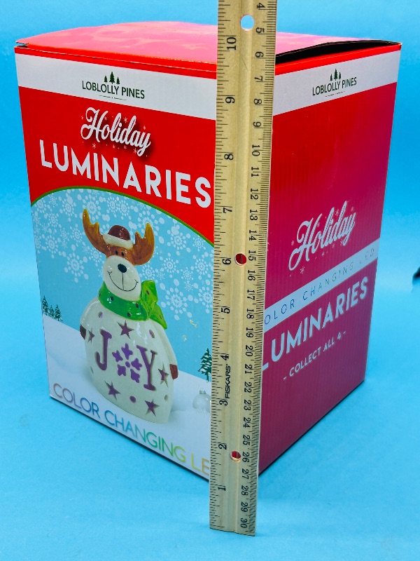 Photo 1 of 165343… Holiday Luminaries color changing LED ceramic 