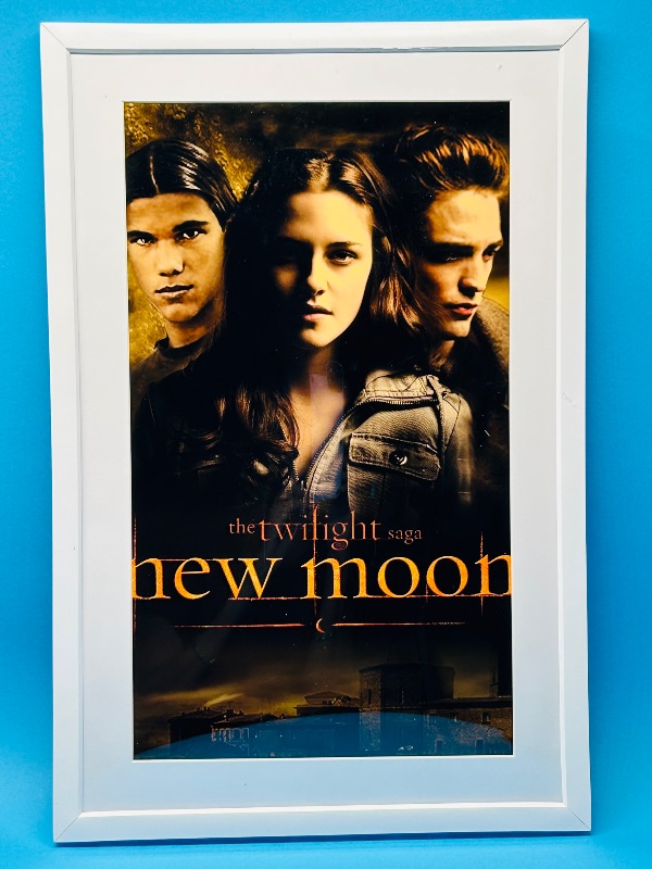 Photo 1 of 165680…18 x 12” framed New Moon Twilight picture